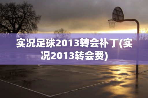 实况足球2013转会补丁(实况2013转会费)