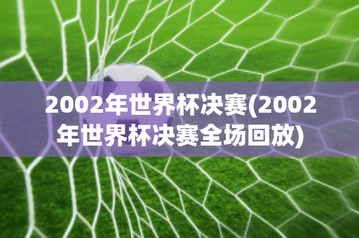 2002年世界杯决赛(2002年世界杯决赛全场回放)