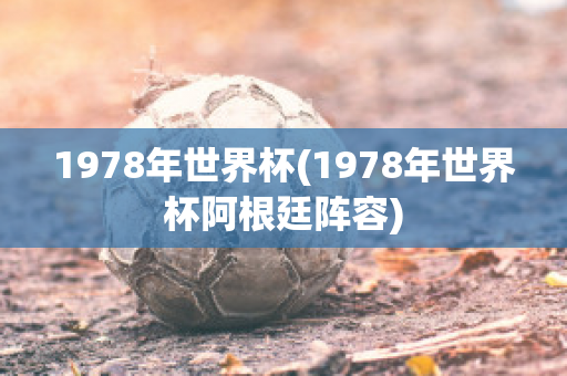 1978年世界杯(1978年世界杯阿根廷阵容)