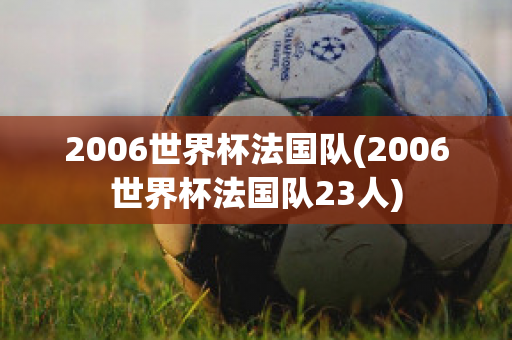 2006世界杯法国队(2006世界杯法国队23人)