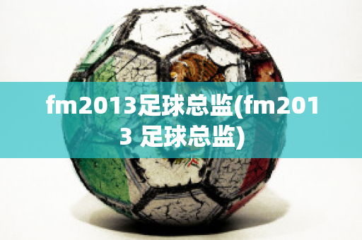 fm2013足球总监(fm2013 足球总监)