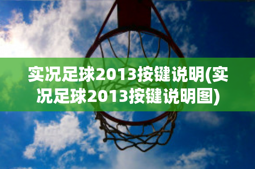 实况足球2013按键说明(实况足球2013按键说明图)