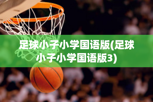 足球小子小学国语版(足球小子小学国语版3)