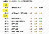 深圳马拉松:深圳马拉松2024比赛时间表