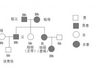 多基:多基因遗传病