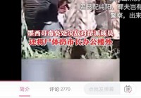 墨西哥 巴西:墨西哥 巴西 阿根廷说什么语言