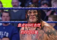 wwe摔跤在线:WWE摔跤在线观看