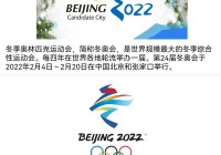 2022年冬奥会徽:2022年冬奥会徽章八仙过海系列