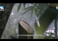 湖北生活频道在线直播:湖北生活频道在线直播回放