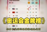 我要看奥运会:我要看奥运会金牌榜