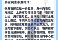 羽毛球教程:羽毛球教程入门教学视频