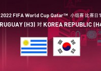 韩国乌拉圭世界杯:韩国乌拉圭世界杯比分