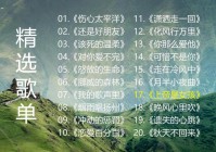 伤心太平洋日语版:伤心太平洋日语版叫什么名字