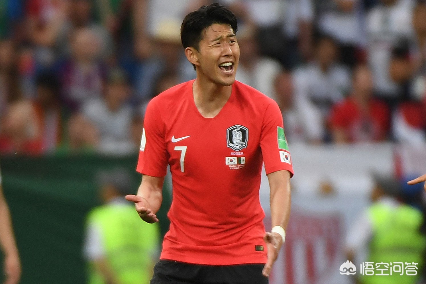 韩国德国世界杯:韩国德国世界杯2比0