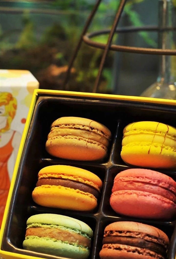 macaron:macaron是什么意思