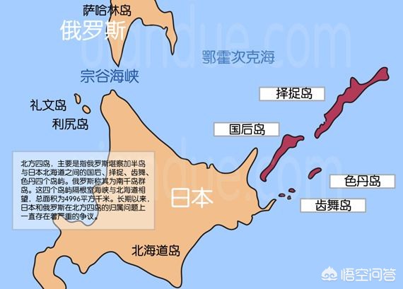 日媒谈世界杯扩军:日媒谈世界杯扩军是真的吗