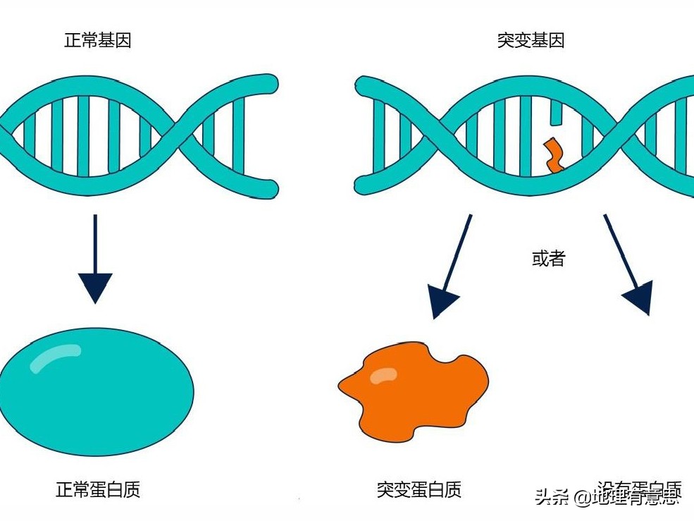 卢西亚诺: