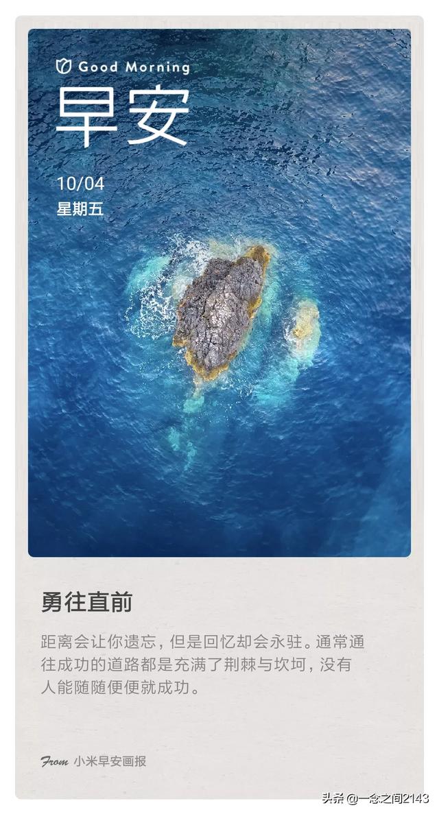 黑色紧身衣: