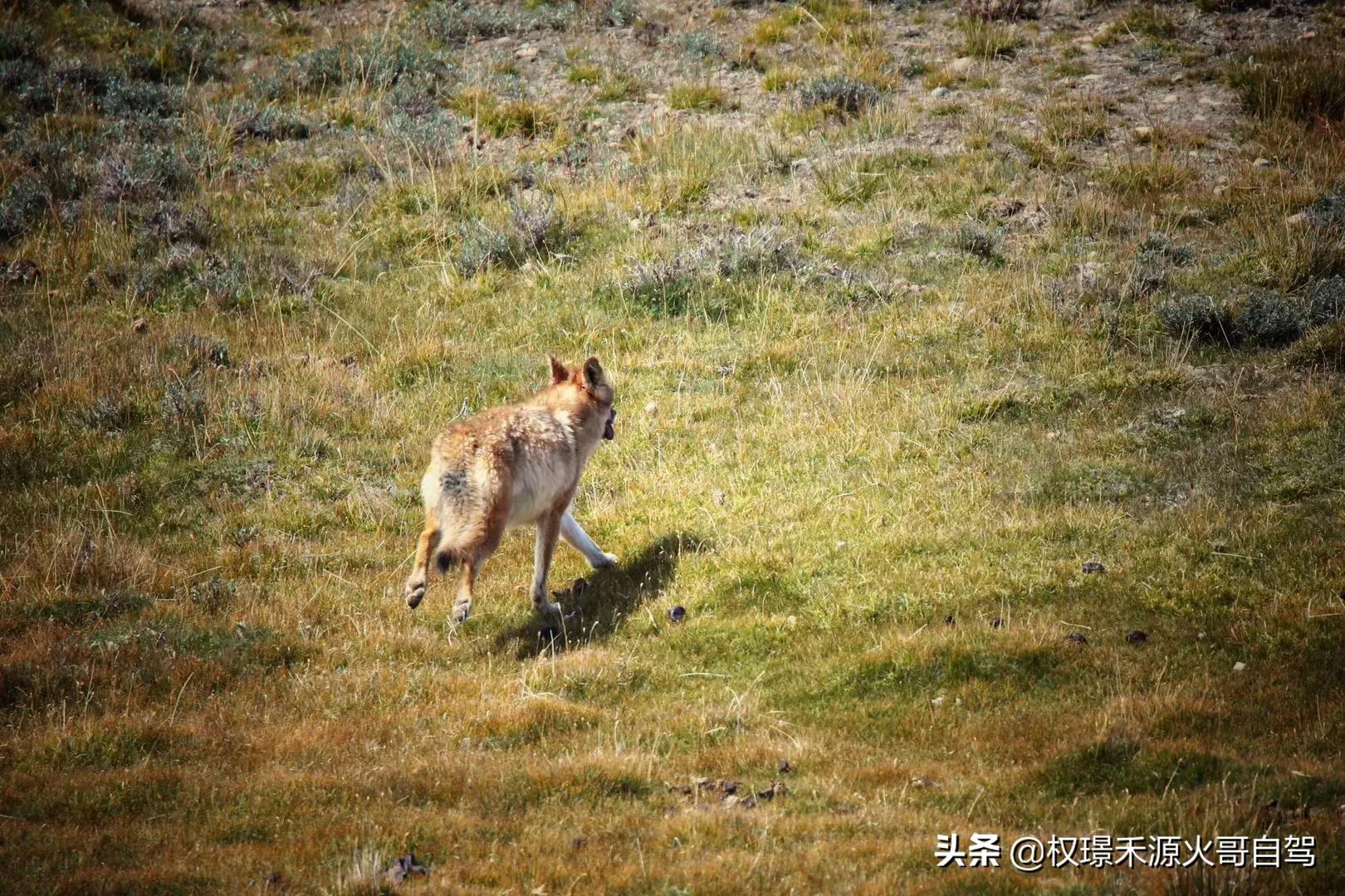 兰州国际马拉松赛:兰州国际马拉松赛官网