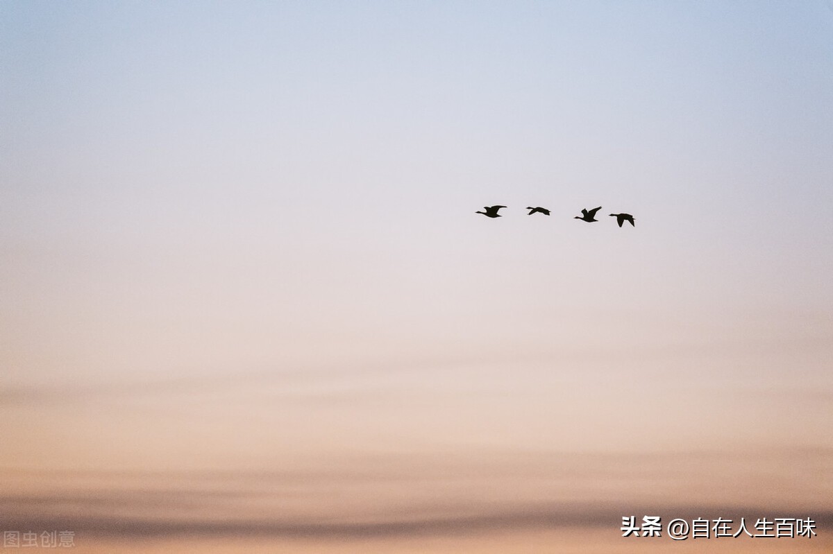 大爷将乌龟当枕头:大爷将乌龟当枕头躺江边熟睡官方通报