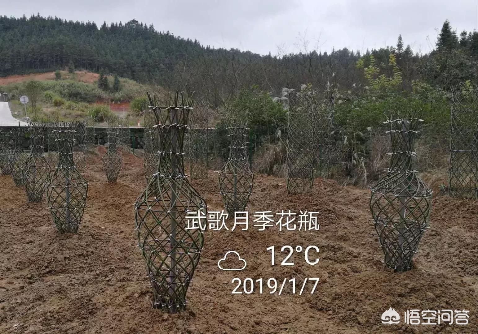 依繁钢管舞视频:依繁钢管舞教学视频