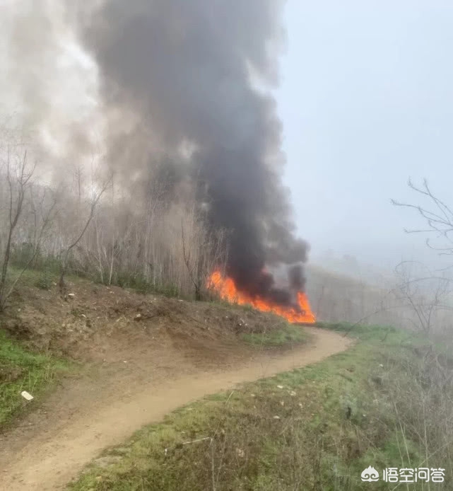 科比遗容照片:科比遗容照片高清