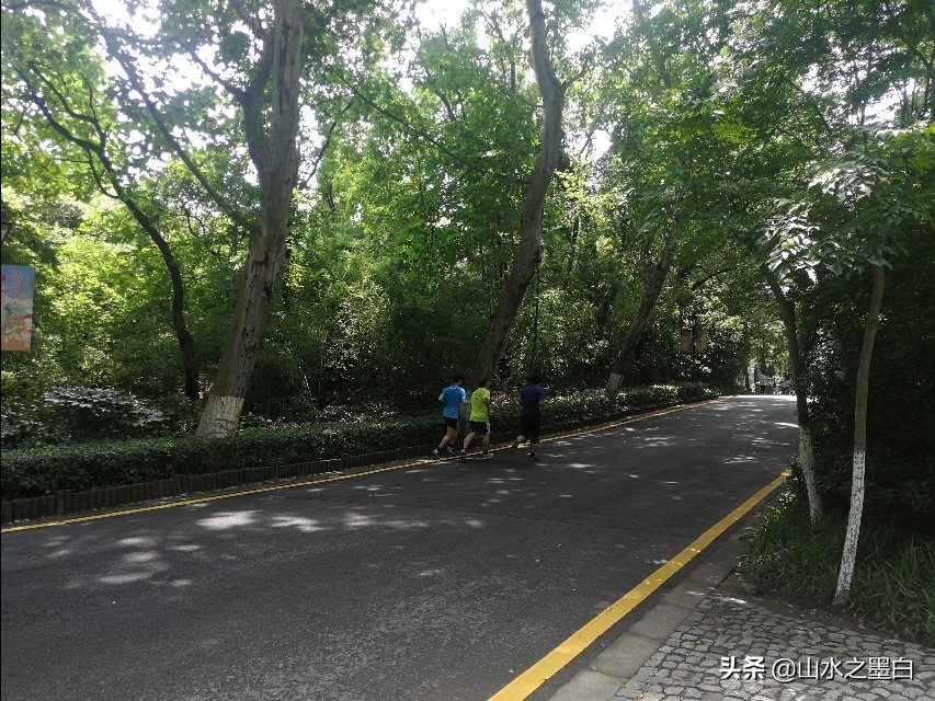 长跑训练计划:长跑训练计划方案