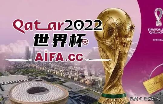 足球世界杯2022:足球世界杯2022年