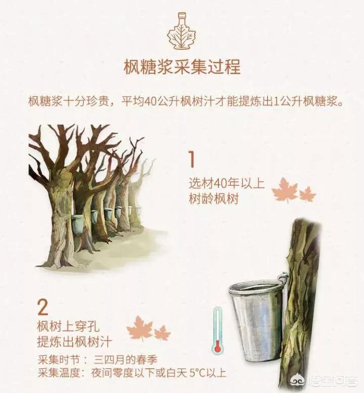 比利时加拿大:比利时加拿大预测