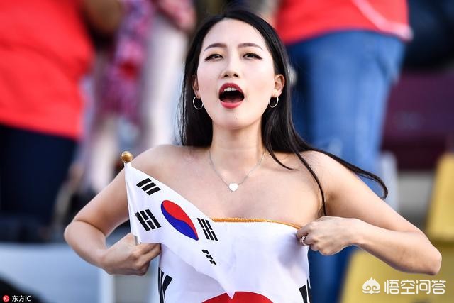 韩国女球迷:韩国女球迷惊艳世界杯