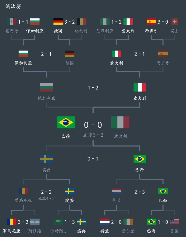 94世界杯:94世界杯冠军