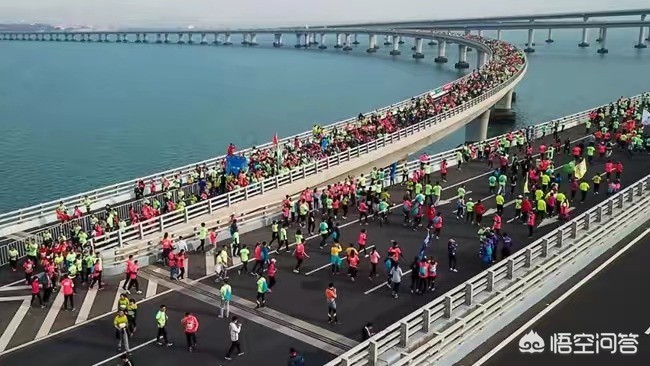 港珠澳大桥马拉松:港珠澳大桥马拉松比赛